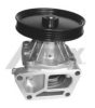 AIRTEX 1660 Water Pump